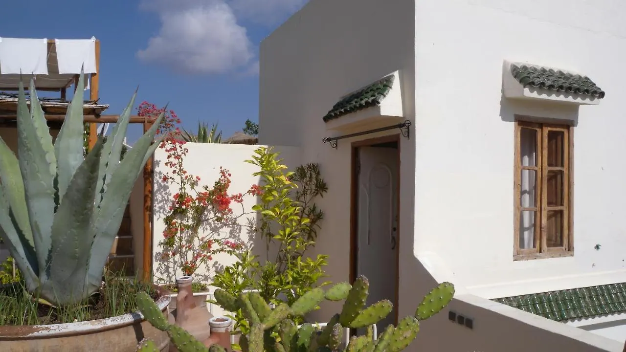 ***  Riad Le Coq Berbère Marrakesh Maroc