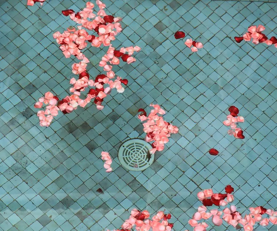 Riad Le Coq Berbère Marrakesh