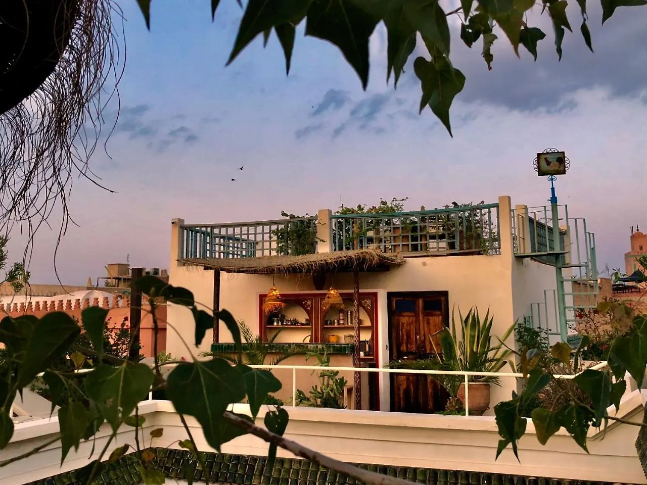 מרקש Riad Le Coq Berbere