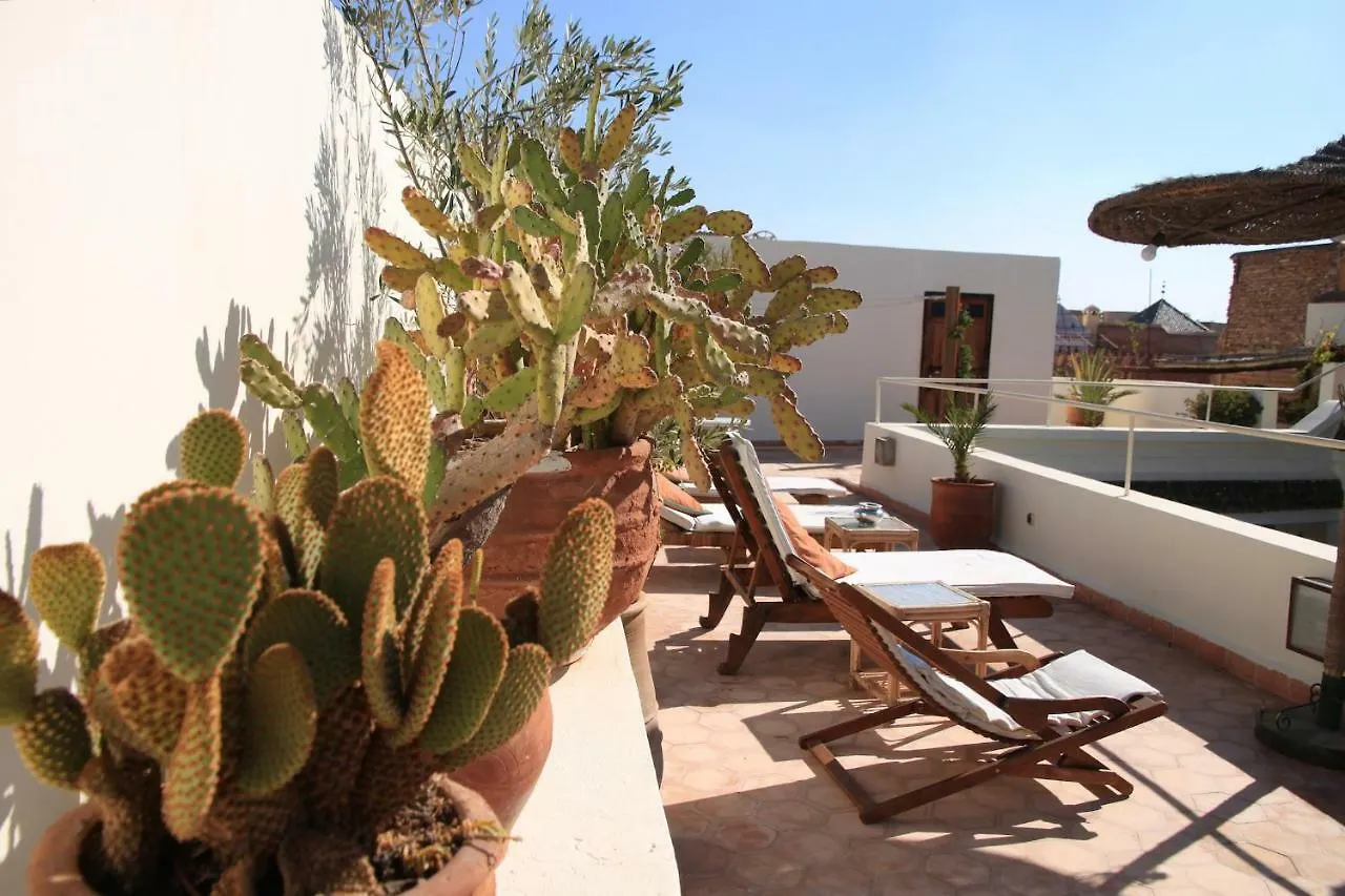 ***  Riad Le Coq Berbère Marrakesh Maroc